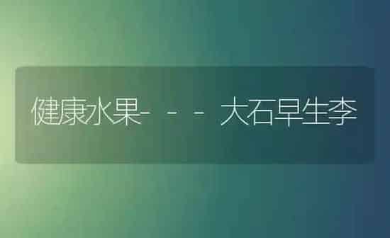 健康水果---大石早生李 | 瓜果种植