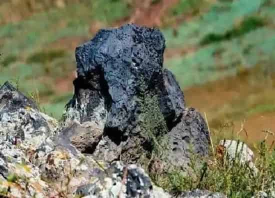 种植土壤|火山石可以种兰花吗