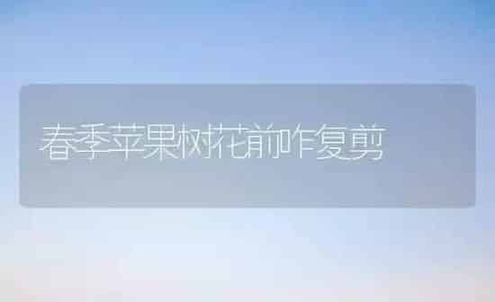 春季苹果树花前咋复剪 | 瓜果种植