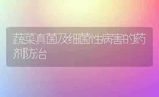 蔬菜真菌及细菌性病害的药剂防治 | 蔬菜种植