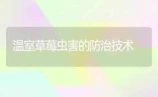 温室草莓虫害的防治技术 | 瓜果种植