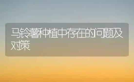 马铃薯种植中存在的问题及对策 | 植物种植百科