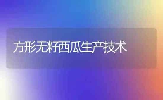 方形无籽西瓜生产技术 | 瓜果种植