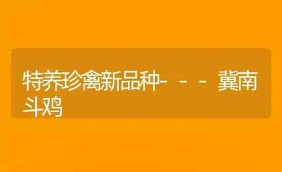 南瓜干的制作技术 | 蔬菜种植