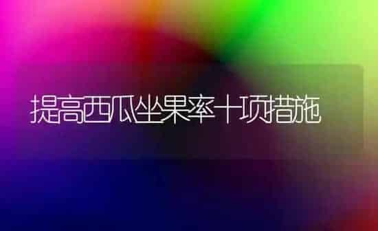提高西瓜坐果率十项措施 | 瓜果种植
