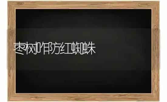 枣树咋防红蜘蛛 | 瓜果种植