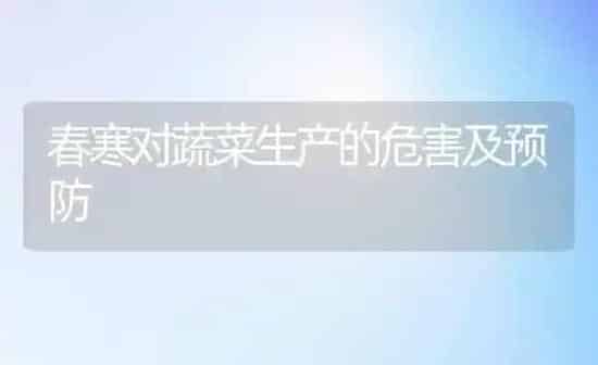 春寒对蔬菜生产的危害及预防 | 蔬菜种植