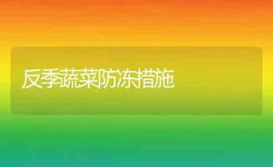 反季蔬菜防冻措施 | 蔬菜种植