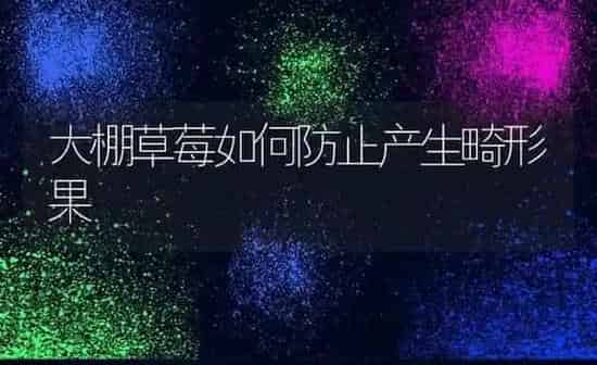 大棚草莓如何防止产生畸形果 | 瓜果种植