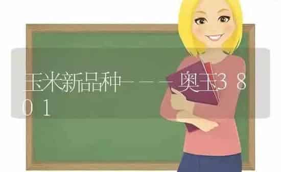 玉米新品种---奥玉3801 | 粮油作物种植