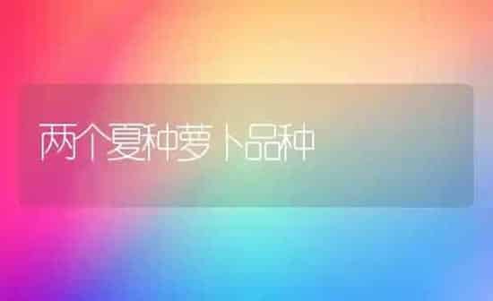 两个夏种萝卜品种 | 蔬菜种植