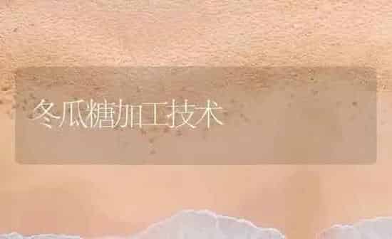 冬瓜糖加工技术 | 蔬菜种植