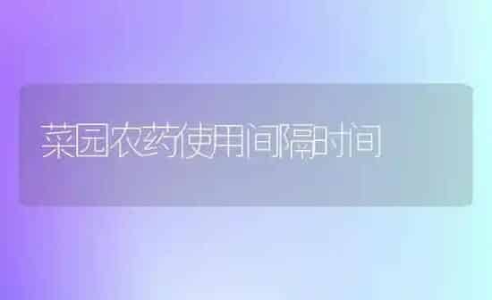 菜园农药使用间隔时间 | 种植病虫害防治