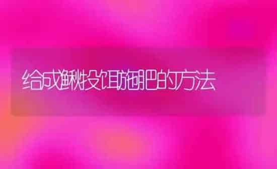 给成鳅投饵施肥的方法 | 种植肥料施肥