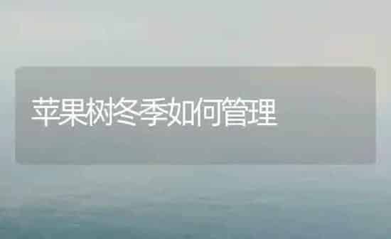 苹果树冬季如何管理 | 瓜果种植