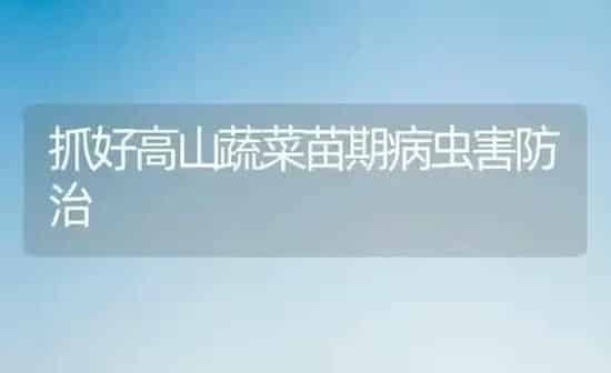 抓好高山蔬菜苗期病虫害防治 | 蔬菜种植