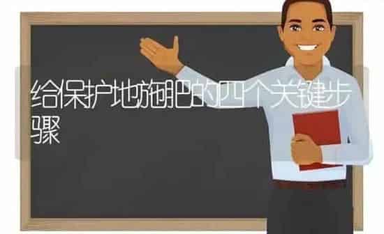 给保护地施肥的四个关键步骤 | 种植肥料施肥