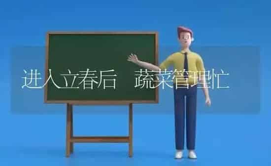 进入立春后 蔬菜管理忙 | 蔬菜种植