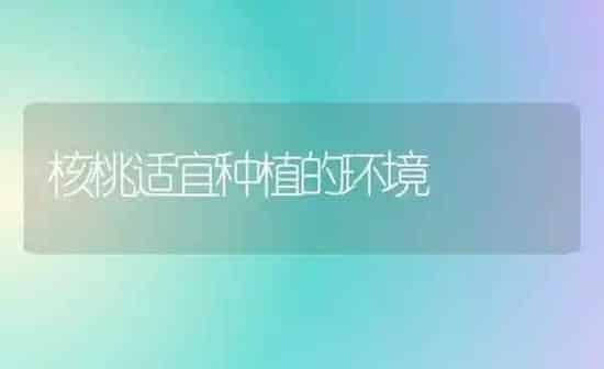 核桃适宜种植的环境 | 植物种植百科