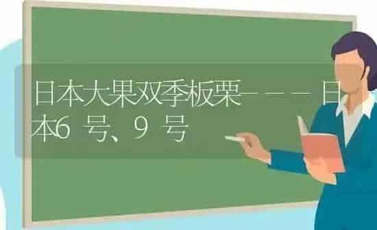 日本大果双季板栗---日本6号、9号 | 瓜果种植