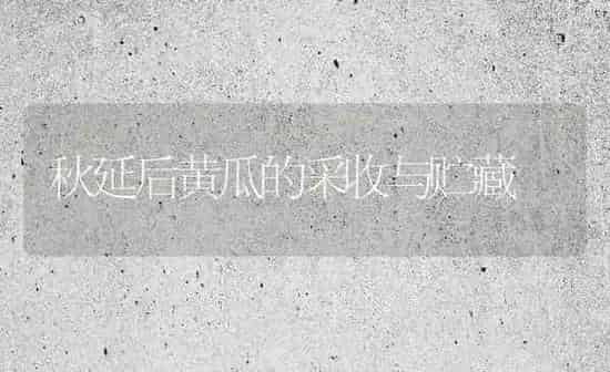 秋延后黄瓜的采收与贮藏 | 蔬菜种植