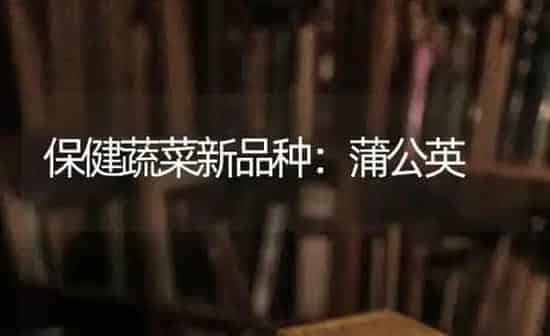 保健蔬菜新品种：蒲公英 | 蔬菜种植