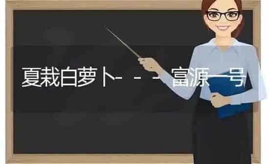 夏栽白萝卜---富源一号 | 蔬菜种植
