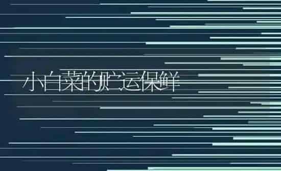 小白菜的贮运保鲜 | 蔬菜种植