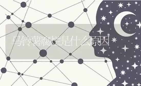 马铃薯腐烂是什么原因 | 粮油作物种植