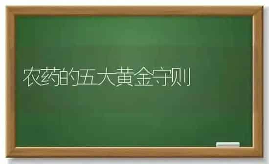 农药的五大黄金守则 | 种植病虫害防治