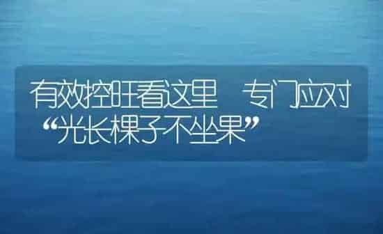 中药材越夏生产预警及管理 | 药材种植