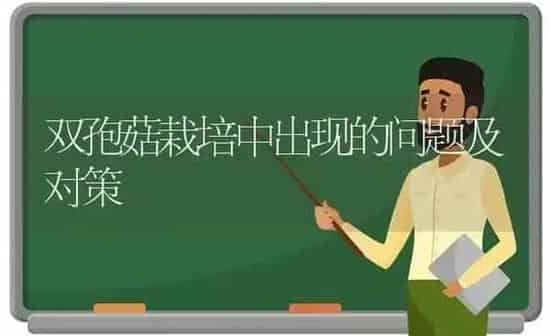 双孢菇栽培中出现的问题及对策 | 食用菌种植