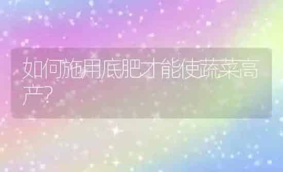 如何施用底肥才能使蔬菜高产？ | 蔬菜种植
