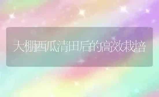 大棚西瓜清田后的高效栽培 | 瓜果种植