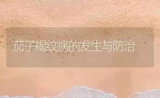 茄子褐纹病的发生与防治 | 蔬菜种植