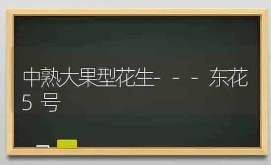 中熟大果型花生---东花5号 | 瓜果种植