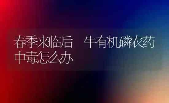 春季来临后 牛有机磷农药中毒怎么办 | 种植病虫害防治