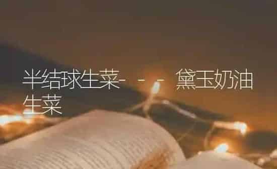 半结球生菜---黛玉奶油生菜 | 蔬菜种植