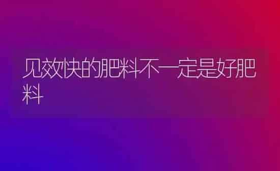 见效快的肥料不一定是好肥料 | 种植肥料施肥