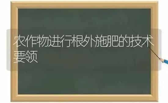 农作物进行根外施肥的技术要领 | 种植肥料施肥