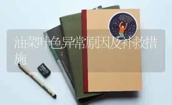 油菜叶色异常原因及补救措施 | 粮油作物种植