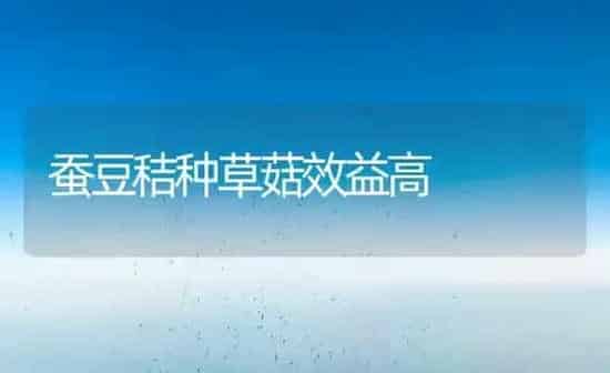 蚕豆秸种草菇效益高 | 食用菌种植