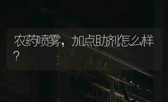 农药喷雾，加点助剂怎么样？ | 种植病虫害防治