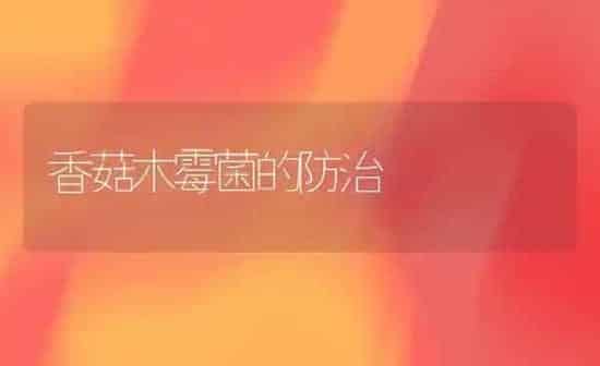 香菇木霉菌的防治 | 食用菌种植