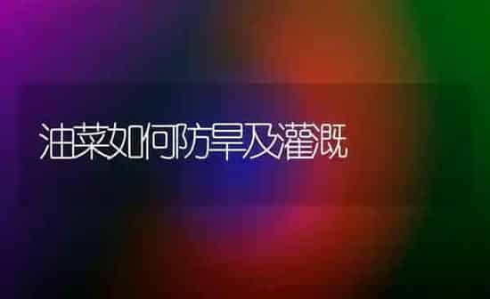 油菜如何防旱及灌溉 | 粮油作物种植