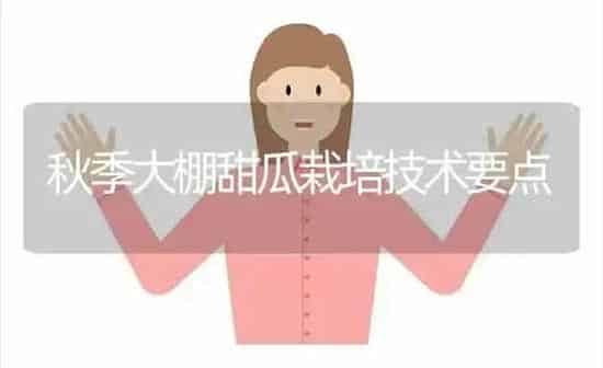 秋季大棚甜瓜栽培技术要点 | 瓜果种植