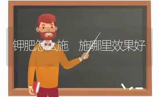 钾肥怎么施 施哪里效果好 | 瓜果种植