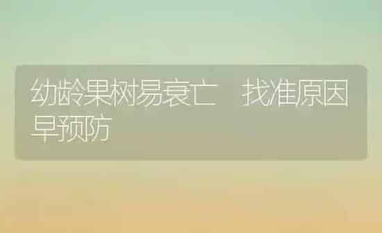 幼龄果树易衰亡 找准原因早预防 | 瓜果种植