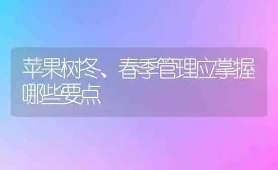 苹果树冬、春季管理应掌握哪些要点 | 瓜果种植