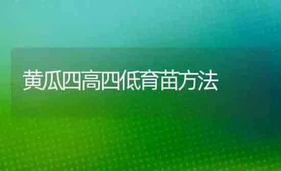 黄瓜四高四低育苗方法 | 蔬菜种植